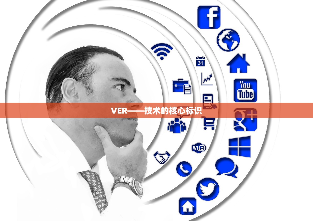 VER——技术的核心标识