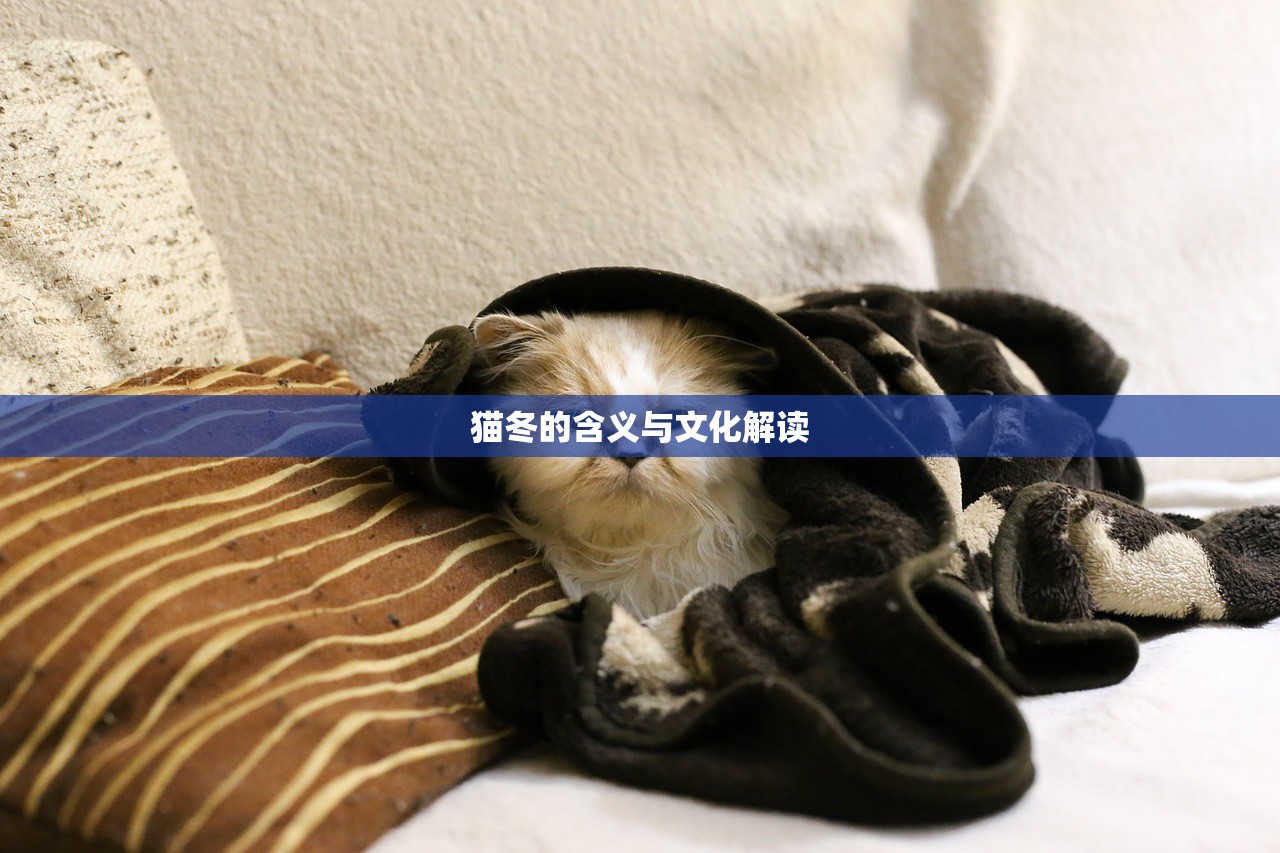 猫冬的含义与文化解读