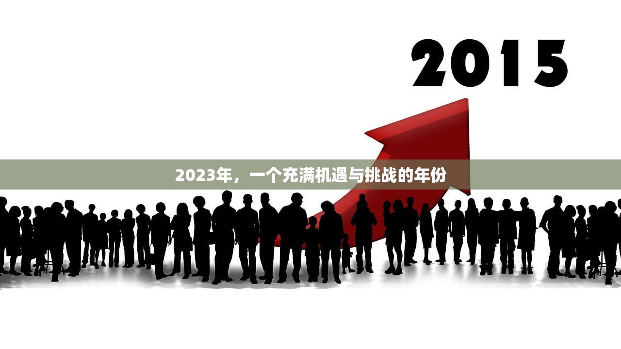 2023年，一个充满机遇与挑战的年份