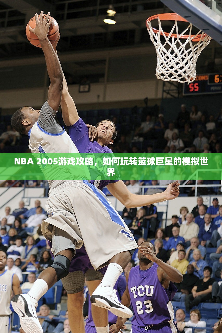 NBA 2005游戏攻略，如何玩转篮球巨星的模拟世界