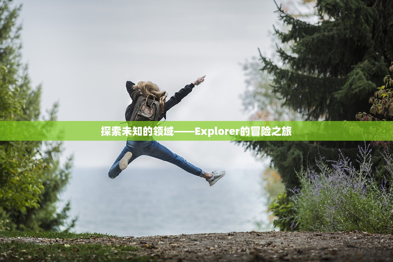 探索未知的领域——Explorer的冒险之旅