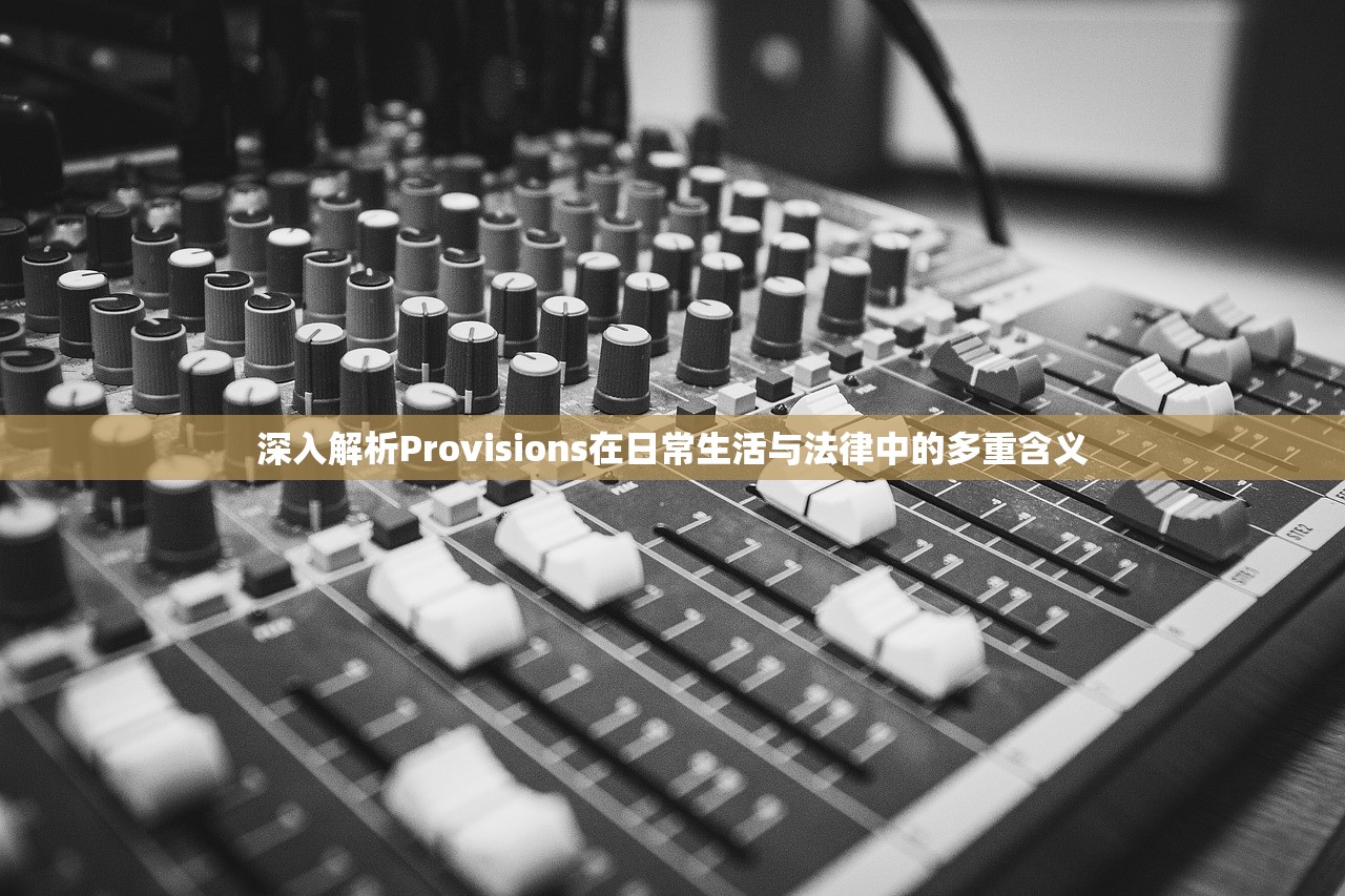 深入解析Provisions在日常生活与法律中的多重含义